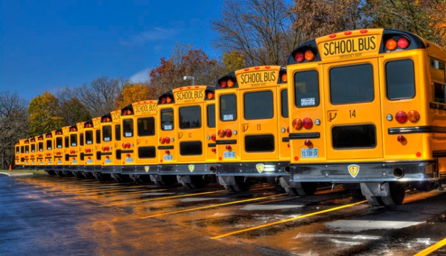school_buses_495